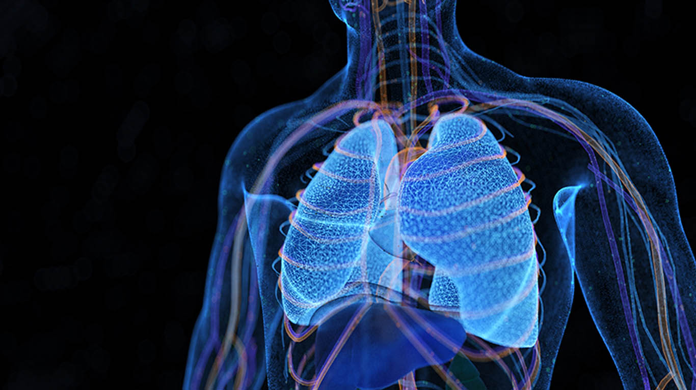 Best Doctor for Wheezing in Teynampet